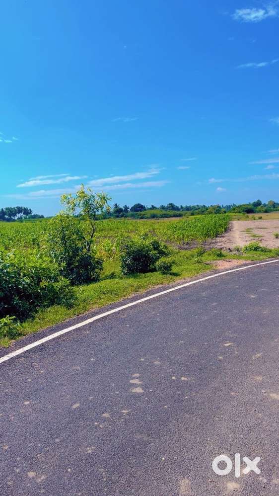 Near Puduuchimedu-palaiya Uchimedu Road,