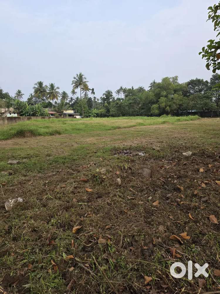 Land for sale Manjummel