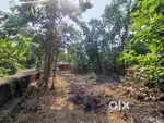 14 cent good plot for sale
