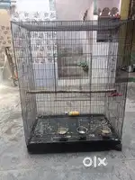 I want to sell my big size Cage (Pinjra)