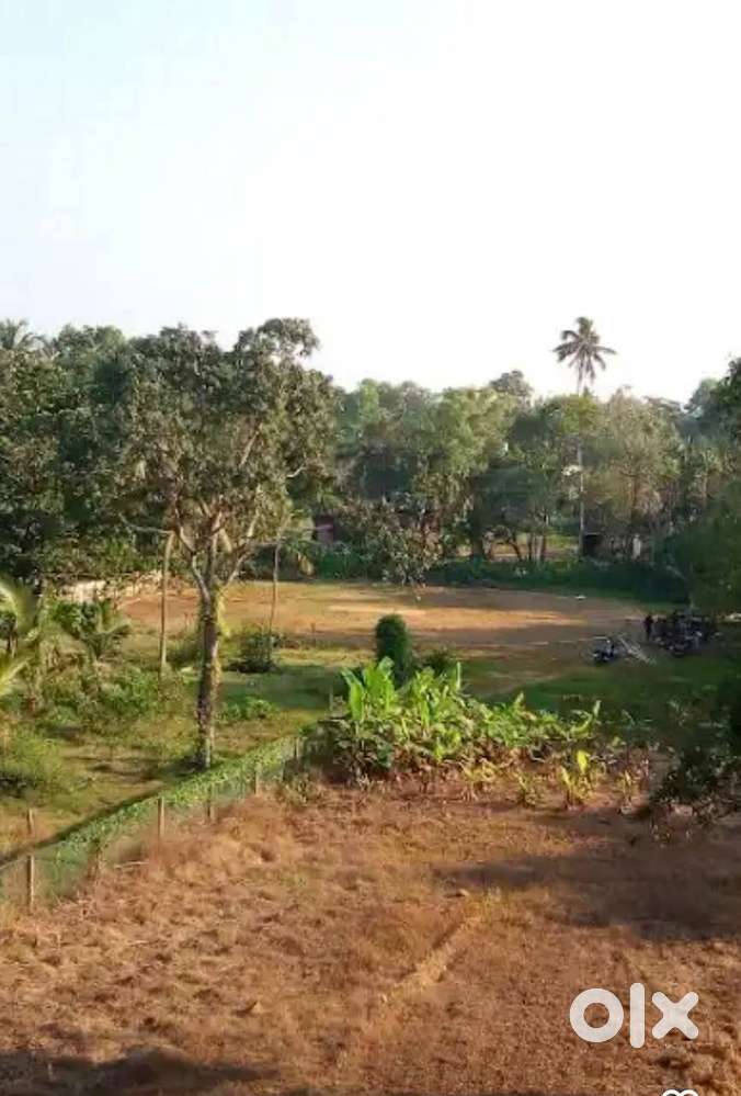 Prime Land 40 Cents for Sale at Kalarkode, alappuzha