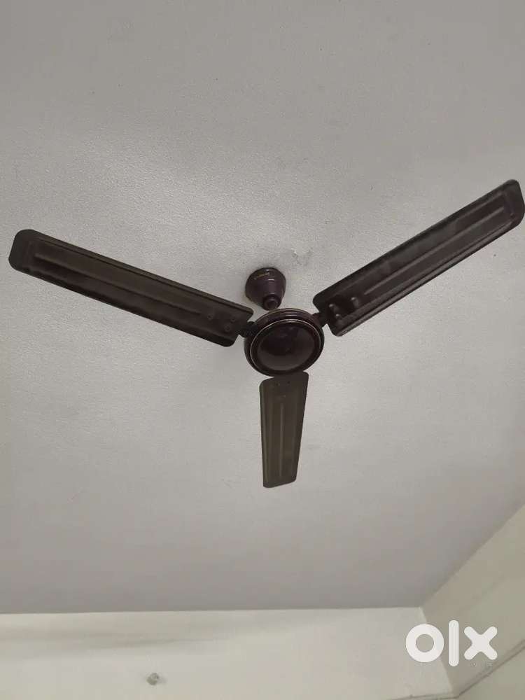 Ceiling and wall mount fans