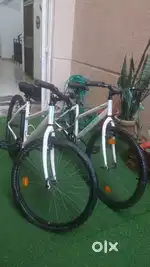 Two Rock Rider Bicycles purchased from Decathlon