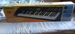 Casio keyboard