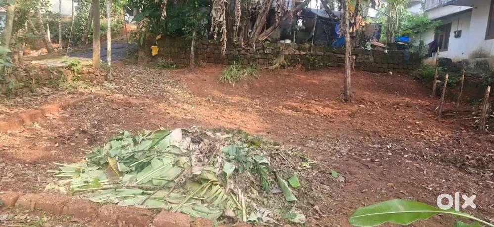 6 cent plot for sale