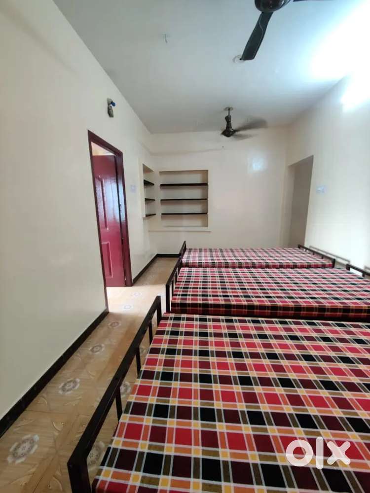 Bachelors men house