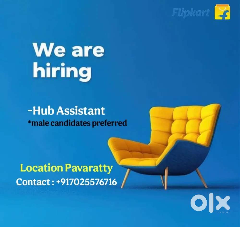 HUB ASSISTANT