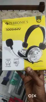 Zebronics Headphone with mic
