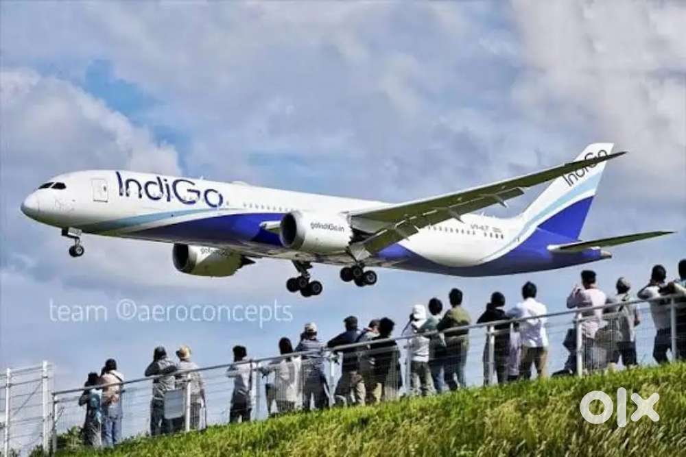 Apply Now Fresher Male,Female Both Candidate in IndiGo Airline Vacancy