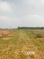 Luxury farm house plots near Tirupati