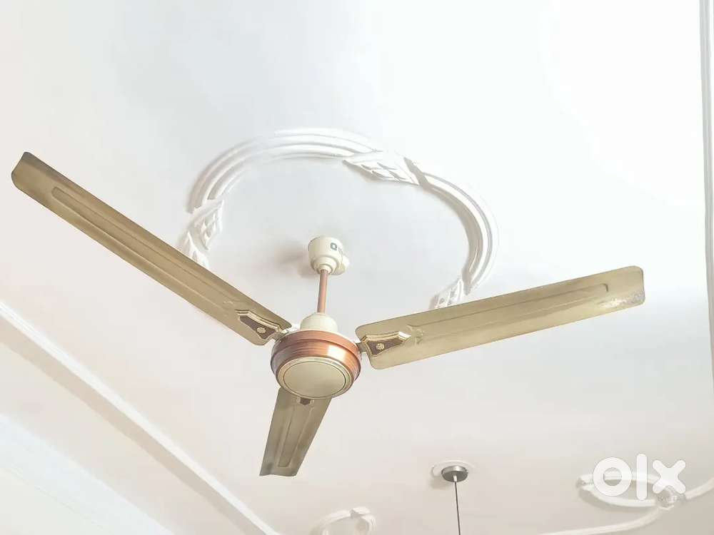 Ceiling fan