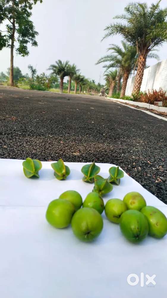 Dtcp and Rera Approved premium plots