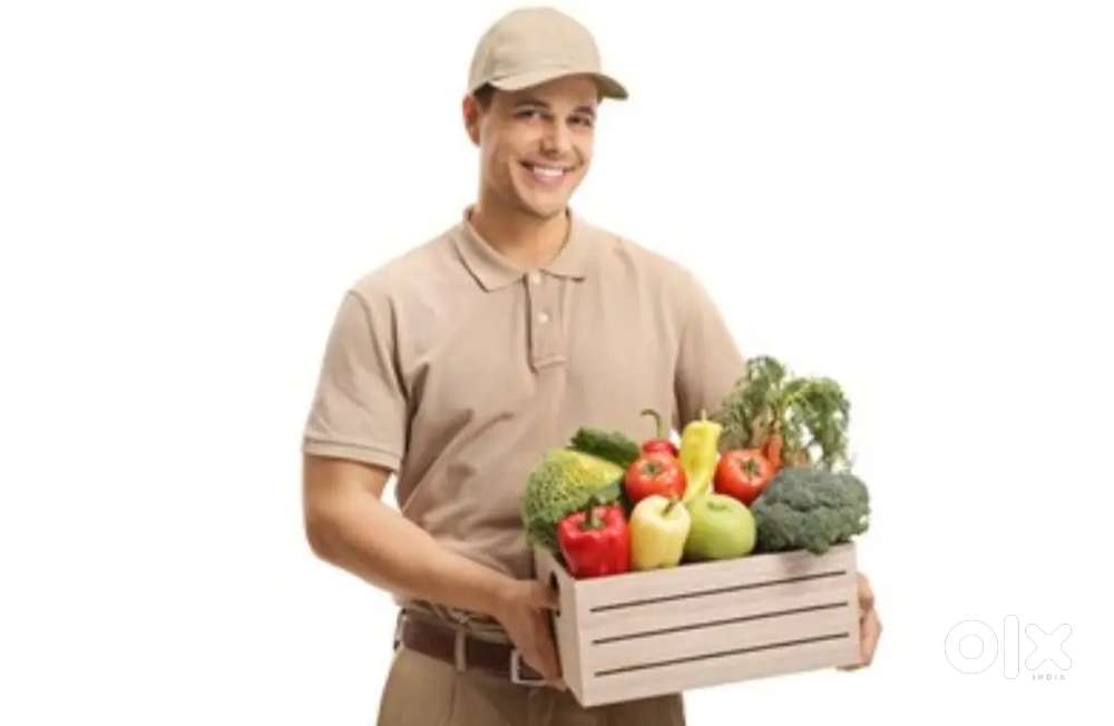 We are looking for grossery and vegetables delivery boy ³