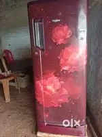 Single door fridge