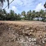 Rent NA land near Gadu Kanek Chorwad