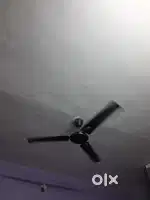 Ceiling fan