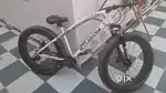 Sturdy Fat Bike