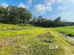 50 cent Land property for sale near kudashanadu, Noornadu