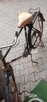 Avon Cycle
