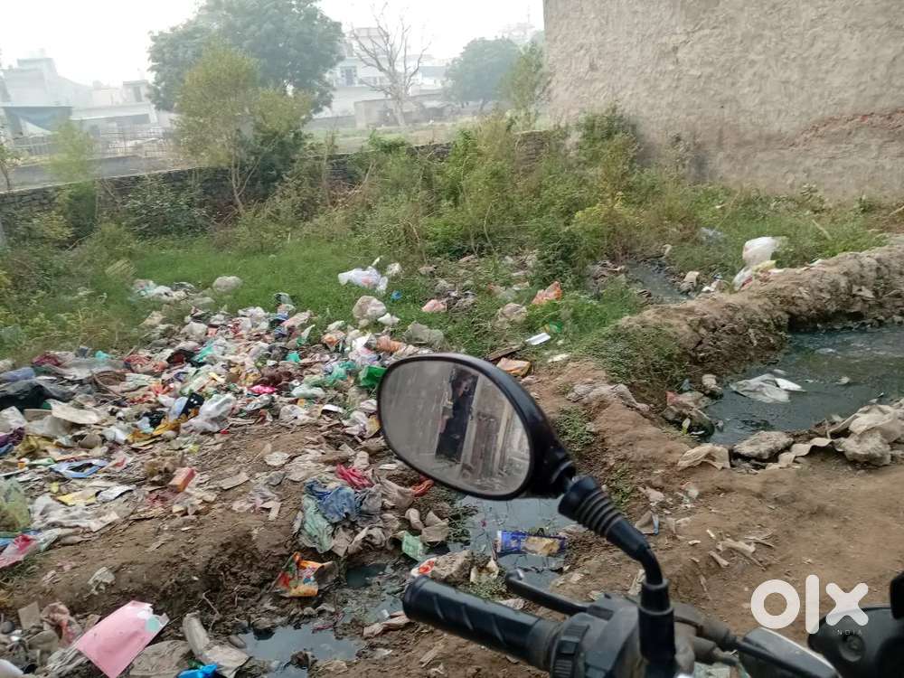 Sall Sall pilot and lone available