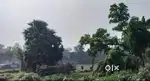 WEST BENGAL DURGAPUR MUCHIPARA MAIN ROAD LAND AVAILABLE 10 BIGHA.