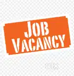 Tele calling, Team leader, HR assistant, office assistant