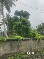 11 CENT HOUSE PLOT SALE MADAVANA