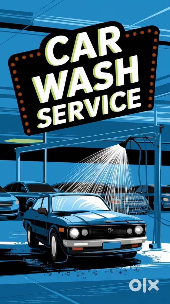 Need a 2-3 boys for car washing