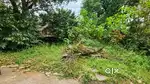 600 sqmts property for sale in calangute