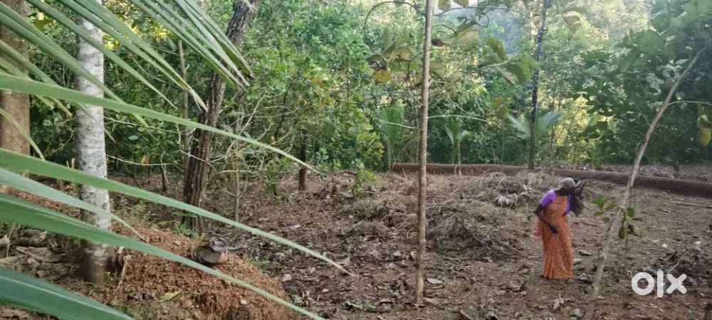 Plot for sale on karippuram,kollam.