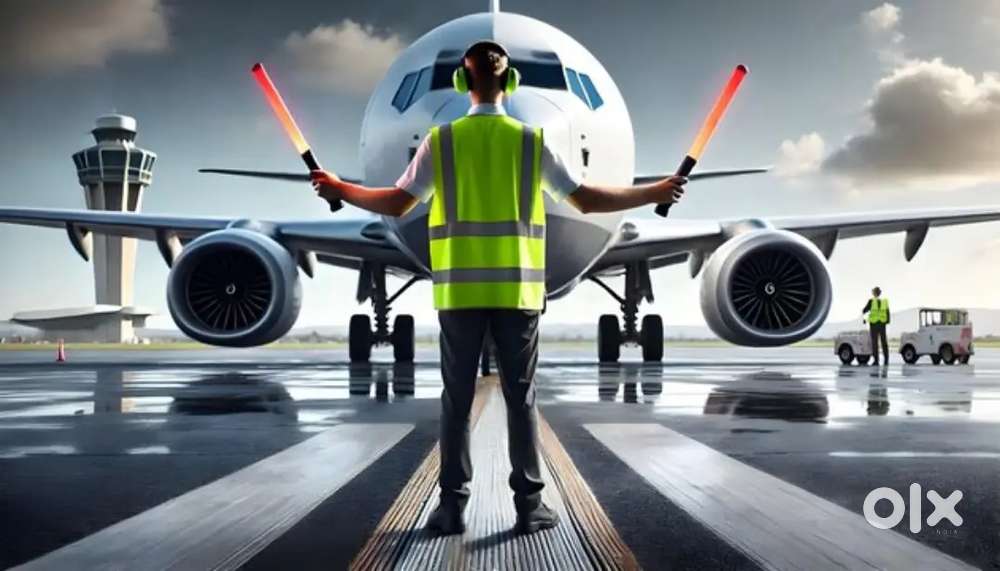 Vacancy open in indigo Airlines urgent