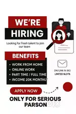 Part Time / Full Time Work From Home  Flexible Hours  Apply Now