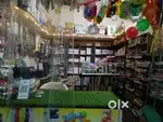 Stationary sports and gift