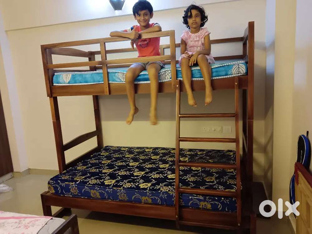Mahagoni wooden Bunk bed available factory direct