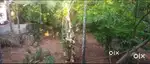 House plot for sale