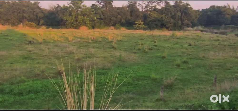 5 kattha Residential plot at fourline road in silchar near clock tower
