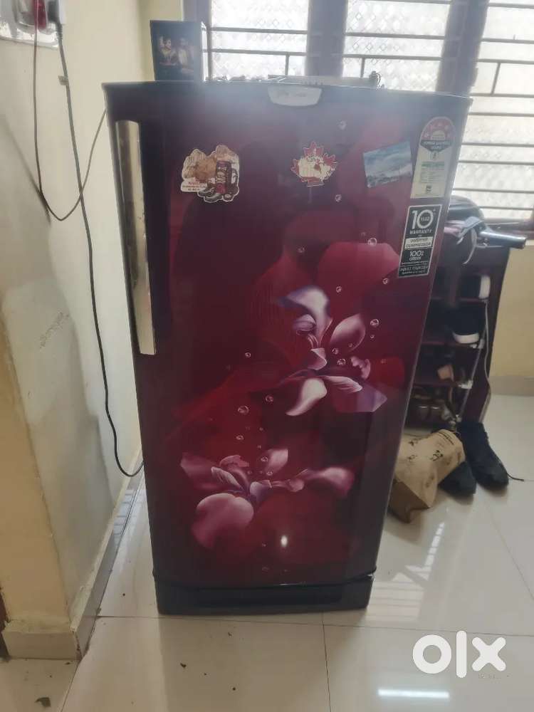 Godrej 190 L 5 Star Inverter Direct-Cool Single Door Refrigerator