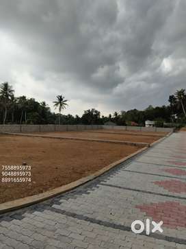 Villa Plots for Sale in Mannanthala – Custom Sizes Available