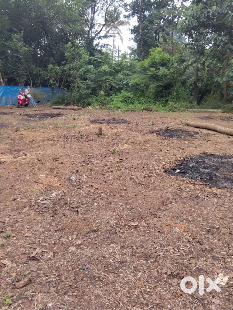 4.75 square plot or 14   cent plot for sale near kodungallur, trissur