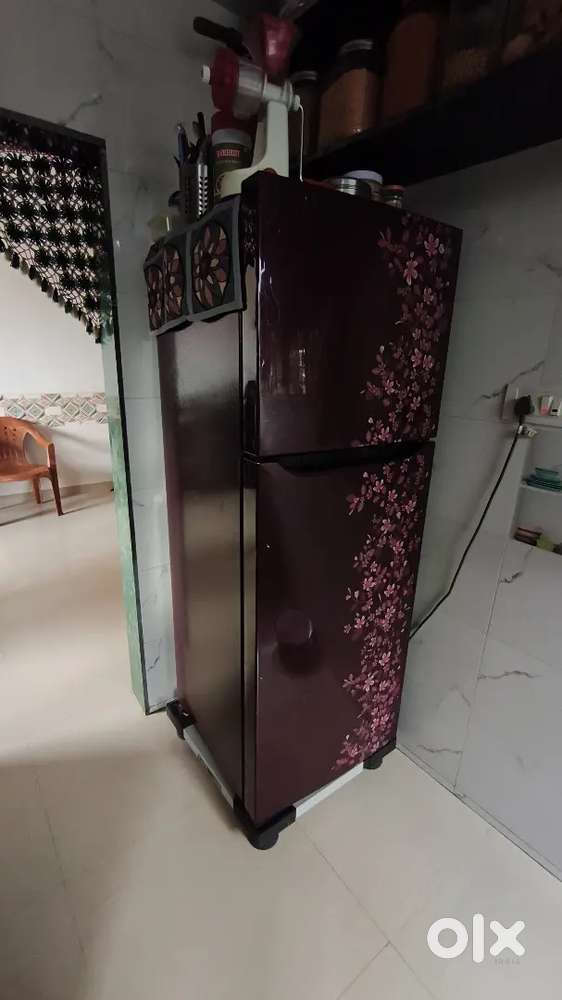 Double Door fridge LG Company