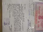 15 years property