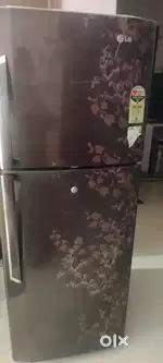 LG  Double Door Fridge