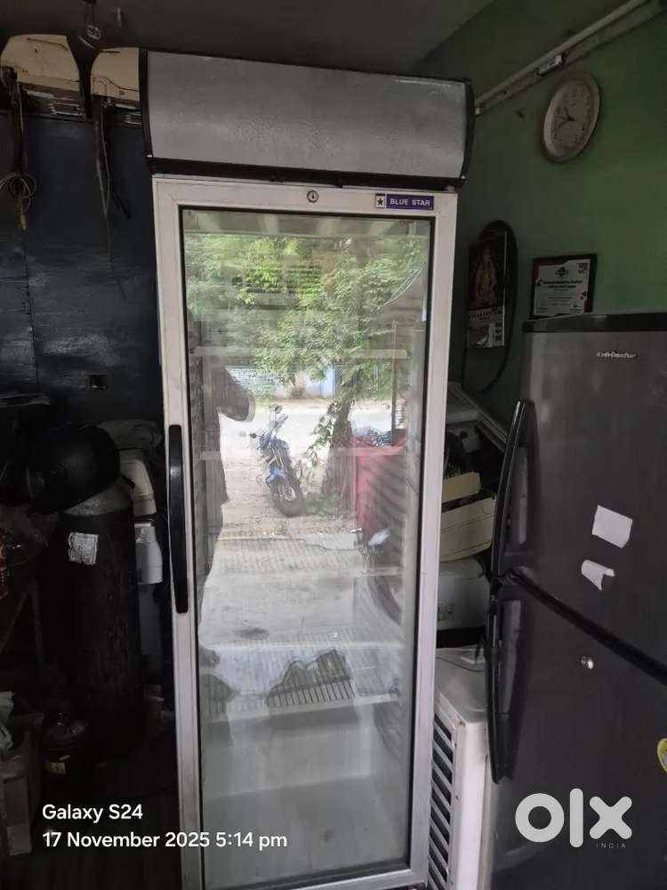 Bluestar 376L visi cooler