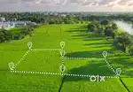 Road Touch Land for Sell - Saphale West NA Plot