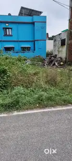 Van Vihar pitthuwala dehradun