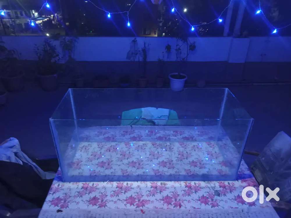 Urgent Sell my aquarium very good condition new