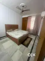 1 BHK fr small family only sector 43 Chandigarh