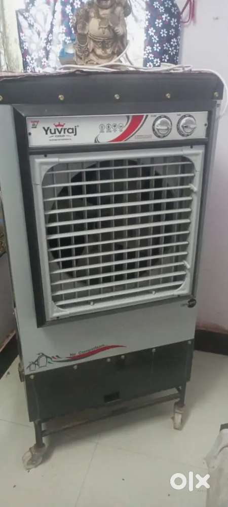 Ac Tiger cooler