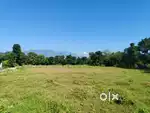 We are selling commercial plot in selaqui  for investment