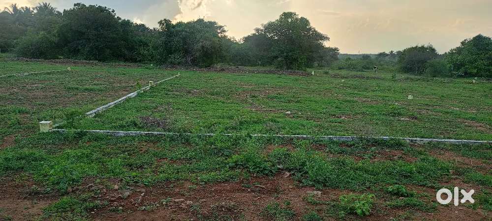 Invest in DTCP-Approved,Just 5 min from Vadasithur Kinathukadavu